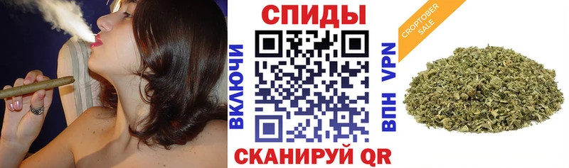 гидра вход  Кисловодск  БУТИРАТ вода 