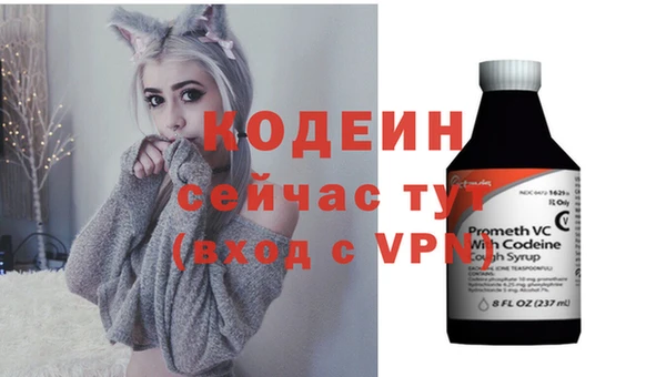 первитин Инта