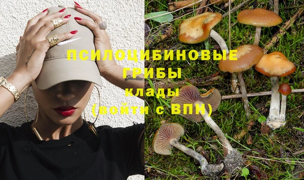 герыч Зеленокумск