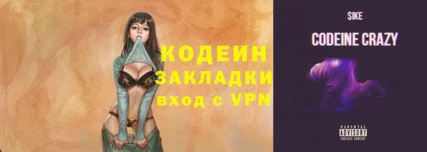 первитин Инта