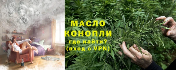 МДПВ Инсар