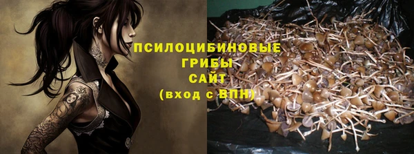 эйфоретик Иннополис