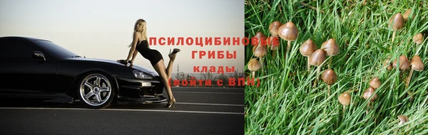 герыч Зеленокумск