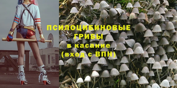 герыч Зеленокумск