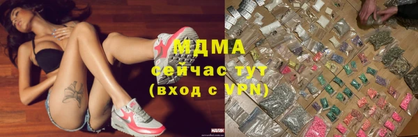 МДПВ Инсар